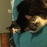 Profile Picture of Grant Hillenbrand (@hillenbrandgrant) on Instagram