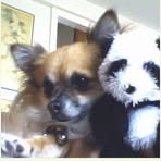 Profile Picture of Colleen Higuchi (@colleen.higuchi) on Facebook