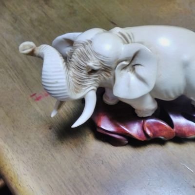 Profile Picture of MIKE MATSUI (@matsui_mike) on Twitter