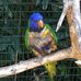 Profile Picture of Jack Wacker (@jack.wacker.79219) on Facebook