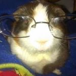 Profile Picture of Tyler Whetstone (@whetstone_tyler) on Instagram