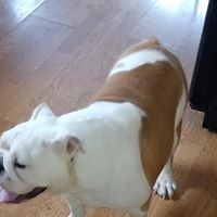 Profile Picture of Sarah Enloe (@sarah-enloe-5) on Quora