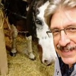 Profile Picture of Mark Haff (@markhaff) on Instagram