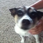 Profile Picture of Derek Southers (@adriengentry) on Instagram