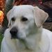 Profile Picture of Cathy Winkler (@prenty) on Pinterest