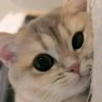 Profile Picture of Tia Gobel (@Tia-Gobel) on Facebook