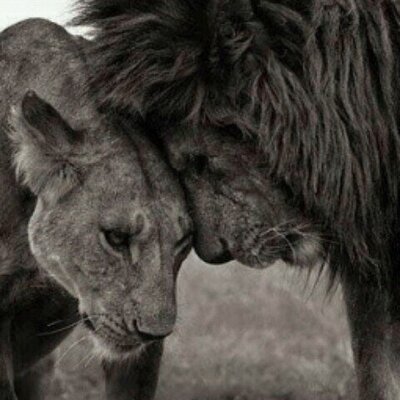 Profile Picture of Paula Aparicio (@paulaaparicio13) on Twitter