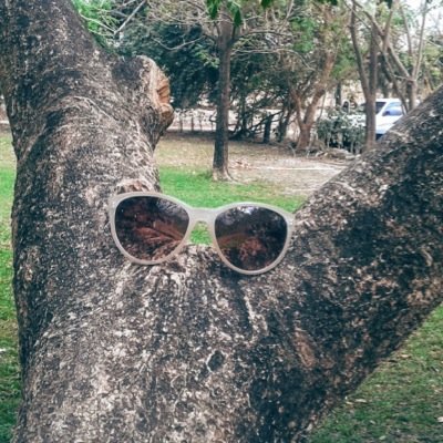 Profile Picture of Andy H. (@21AndyStephanie) on Twitter