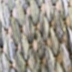 Profile Picture of Steve Deckman (@steve.deckman.7) on Facebook