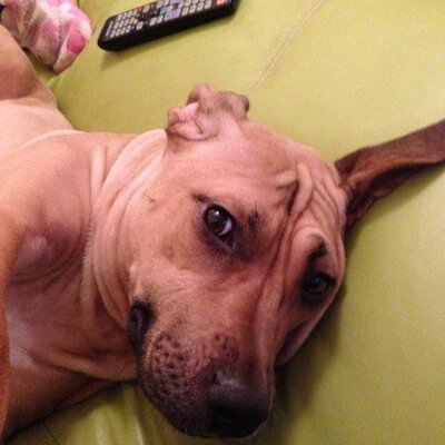 Profile Picture of Lee (@leehanson77) on Twitter