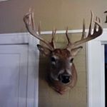 Profile Picture of Ben Shadley (@shadleyranch) on Instagram