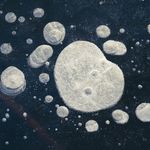 Jakob Larsen - Instagram Profile Picture of Jakob Larsen (@jakob_larsenjl) on Instagram