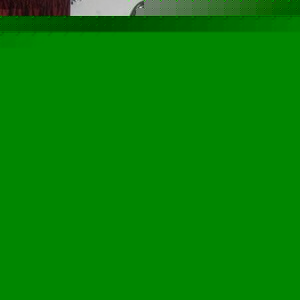 Profile Picture of Bennie Gibbs (@littlegator41) on Myspace