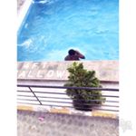 Profile Picture of TODD (@joel_todd1010) on Instagram