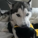 Ashley Fagan - Facebook Profile Picture of Ashley Fagan (@Ashley-Fagan) on Facebook