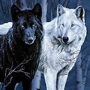 Profile Picture of Addison White (@addisonwhite277) on Youtube