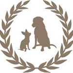 Profile Picture of Gabriele Waiblinger (@royalcontinentals_labradors) on Instagram