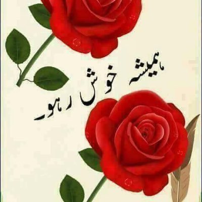 Profile Picture of Muhammad Jaffar Raza (@Muhamma60895255) on Twitter