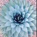 Profile Picture of Rebecca Soleyn (@nickandbec) on Pinterest