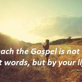 Profile Picture of Max Roscoe (@max_roscoe) on Twitter