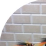 Profile Picture of Craig Kennedy (@craig6770) on Instagram