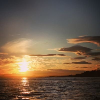 Profile Picture of Julia Reichel (@JReichel4) on Twitter