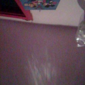 Profile Picture of Dylan Castillo (@dylancastillo16) on Twitter