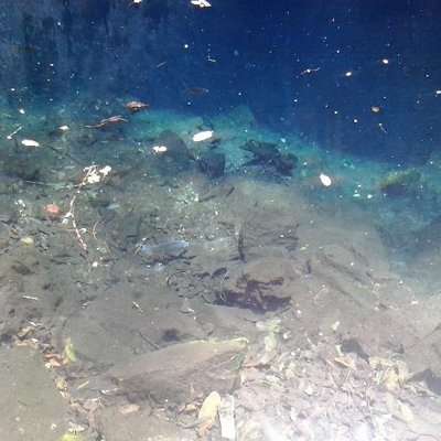 Profile Picture of Joseph Mussa (@starlet7306) on Twitter