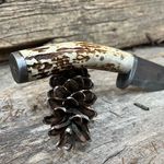 Profile Picture of Steve Hammonds (@pineforgeknives) on Instagram