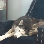 Profile Picture of Charles Herchert (@charles.herchert.7) on Facebook