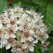 Profile Picture of Chetwynd Fowler (@chetwyndfowler) on Pinterest