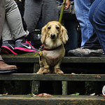 Profile Picture of Azn Chou116 (@azn chou116) on Flickr