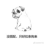Profile Picture of 彭荣全 (@peng.rong.quan) on Facebook