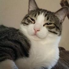 Profile Picture of Max Huggins (@SomeGuyNotPaul) on Twitter