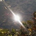 Profile Picture of Loretta (@lorettamccann79) on Instagram