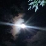 Profile Picture of Stephen Kilgore (@stephen.kilgore.92) on Instagram