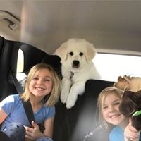 Profile Picture of Trudy Wilson (@trudy-wilson-12) on Quora