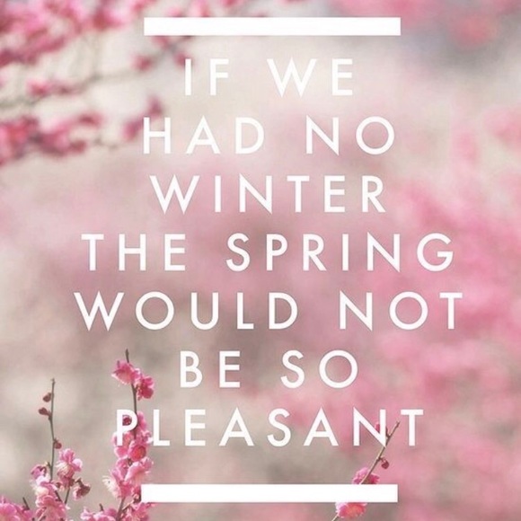 Profile Picture of Edith Cestero (@edithyc24) on Poshmark