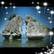 Profile Picture of Nien Trinh (@Nien-Trinh) on Facebook