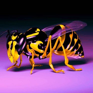 Profile Picture of Tina Mac (@tinamac2703) on Twitter