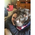 Profile Picture of Danielle Sprinkle🐘 (@dannisprinkle) on Instagram