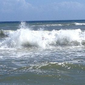 Profile Picture of Jason Davis aka Wyndi (@wyndidavis) on Pinterest