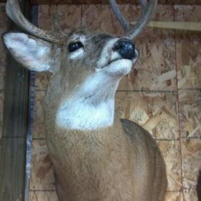 Profile Picture of Barry Stiltner (@bestiltner) on Twitter