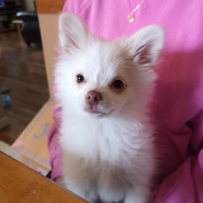 Profile Picture of Kimberly McGee (@kaaatriiinaaa) on Twitter