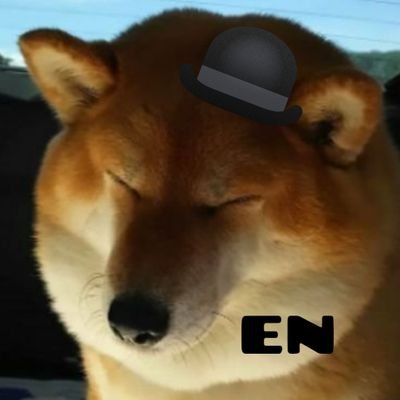 Profile Picture of AdamEN (@AdamKotasEN) on Twitter