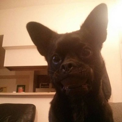 Profile Picture of Walter Applegate (@WaltMarieGate) on Twitter
