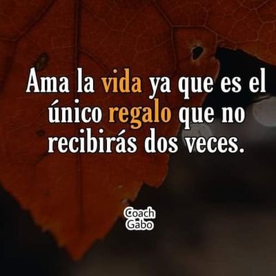 Profile Picture of Elvira Abrego (@ElviraAbrego2) on Twitter