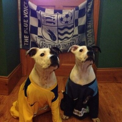 Profile Picture of Howard Farrell (@HowieFarrell) on Twitter