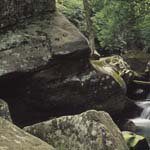 Profile Picture of Jeffrey_Bates (@jeffrey_batesd) on Instagram