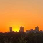 Profile Picture of Moira McCarthy (@moirapainter) on Instagram